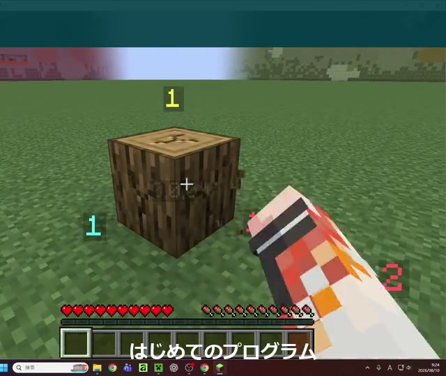 Minecraftで命令を実行した画面